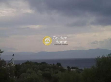 Οικόπεδο 4.005τ.μ. για πώληση-Αιδηψός » Παραλία αγίου νικολάου