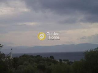 Οικόπεδο 4.005 τ.μ. για πώληση