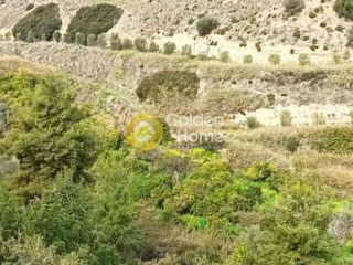 Αγροτεμάχια 13.000 τ.μ. για πώληση