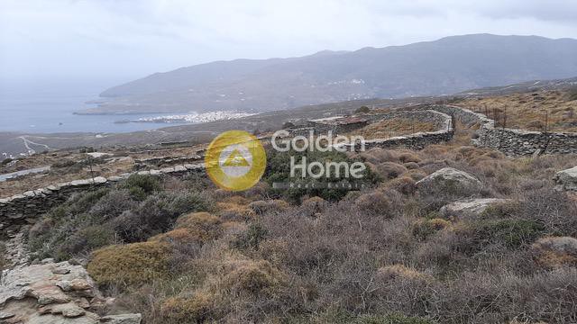 Αγροτεμάχια 12.187 τ.μ. προς πώληση, Χώρα Άνδρου