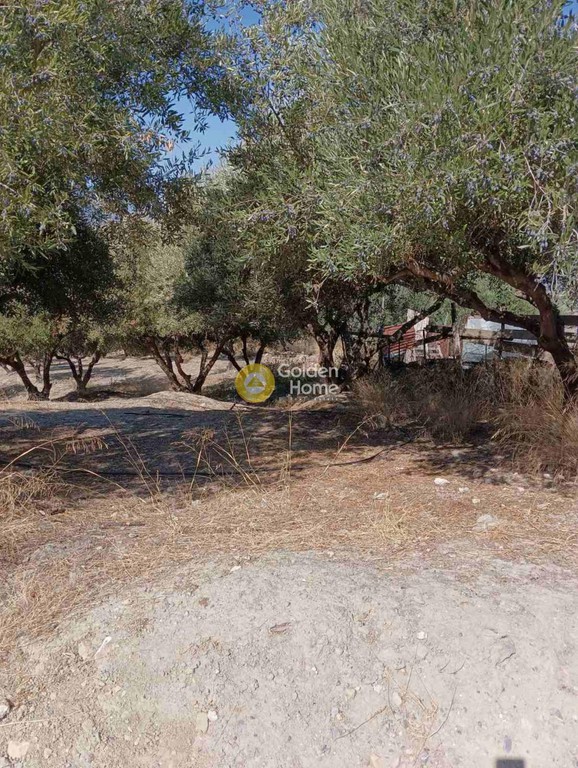 Οικόπεδο 1.275 τ.μ. προς πώληση, Άγιος Βλάσιος Ηρακλείου