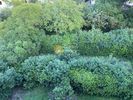 Οικόπεδο 941τ.μ. για πώληση-Νέα ερυθραία » Καστρί