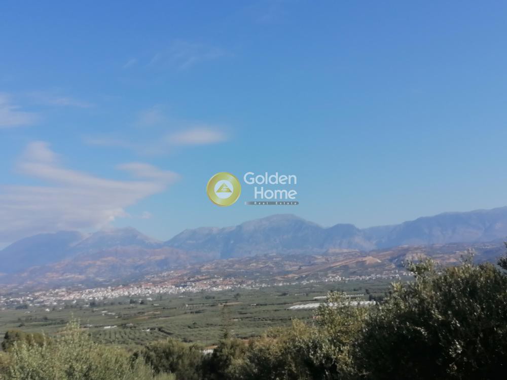 Οικόπεδο 1.417 τ.μ. προς πώληση, Αληθινή