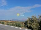 Οικόπεδο 1.417τ.μ. για πώληση-Μοίρες » Αληθινή