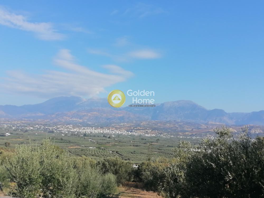Οικόπεδο 1.417 τ.μ. προς πώληση, Αληθινή