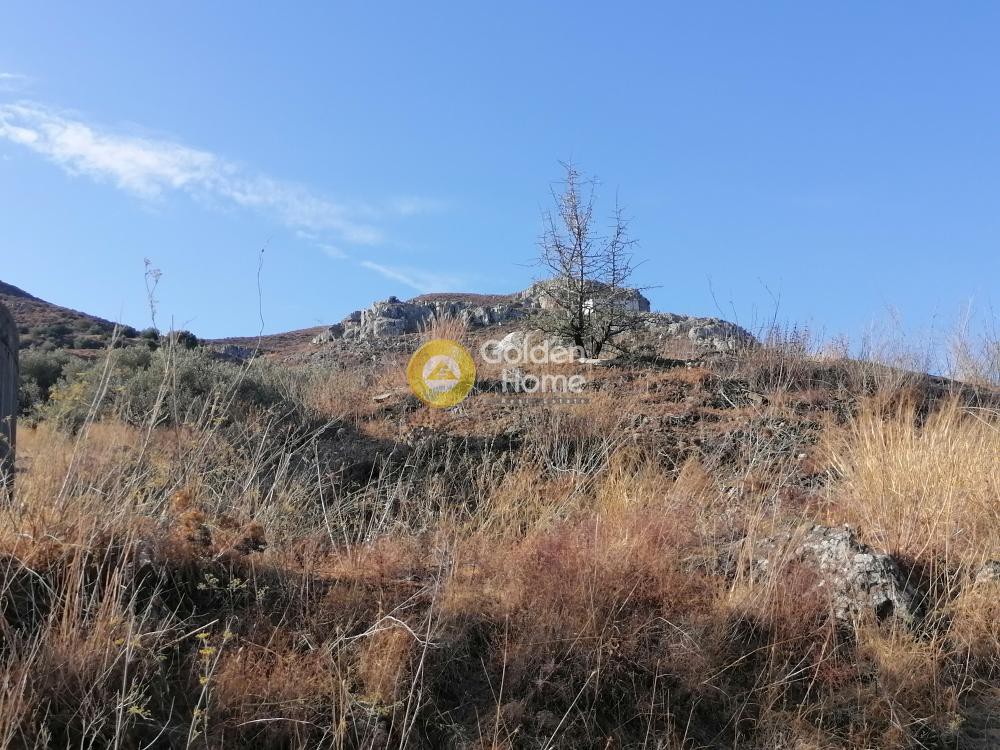 Οικόπεδο 1.417 τ.μ. προς πώληση, Αληθινή