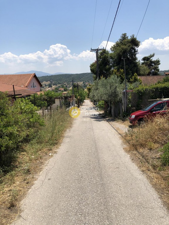Αγροτεμάχια 20.000 τ.μ. προς πώληση, Νιμπορειό