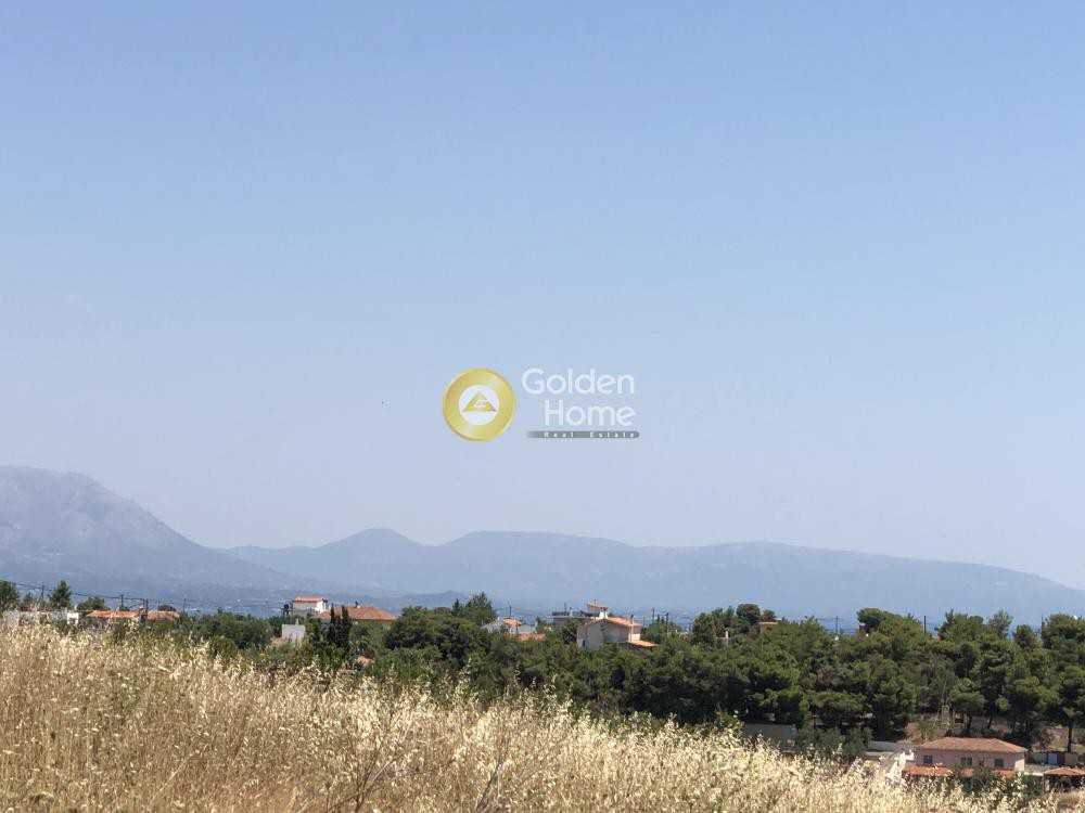 Αγροτεμάχια 20.000 τ.μ. προς πώληση, Νιμπορειό