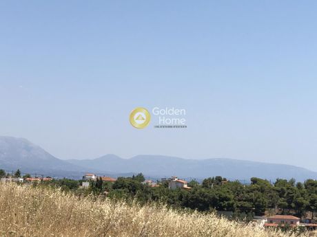 Αγροτεμάχια 20.000τ.μ. για πώληση-Στύρα » Νιμπορειό