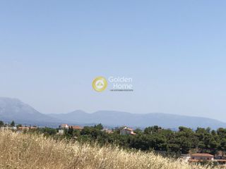 Αγροτεμάχια 20.000 τ.μ. για πώληση