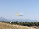Αγροτεμάχια 20.000τ.μ. για πώληση-Στύρα » Νιμπορειό