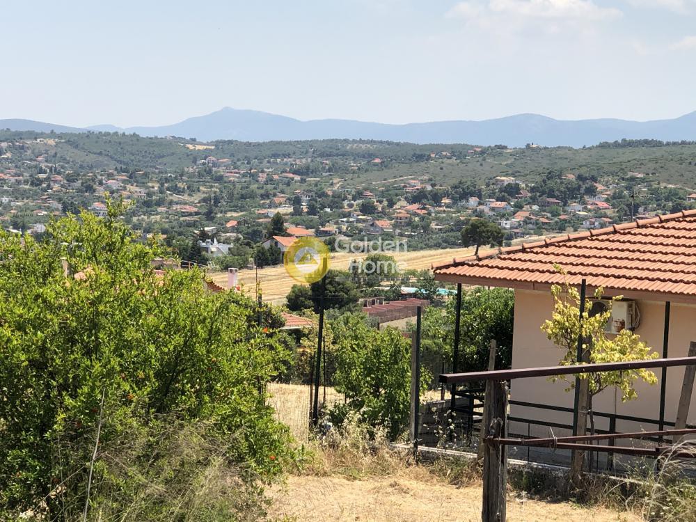 Αγροτεμάχια 20.000 τ.μ. προς πώληση, Νιμπορειό