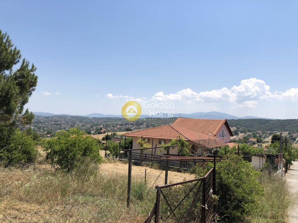 Αγροτεμάχια 20.000 τ.μ. προς πώληση, Νιμπορειό