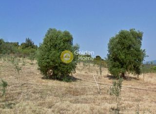 Οικόπεδο 4.015 τ.μ. πρός πώληση