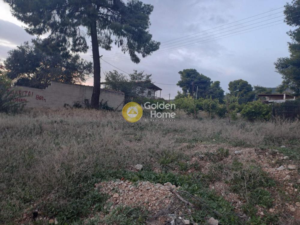 Αγροτεμάχια 861 τ.μ. προς πώληση, Κέντρο Αγίων Θεοδώρων