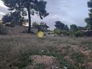 Αγροτεμάχια 861τ.μ. για πώληση-Άγιοι θεόδωροι » Κέντρο