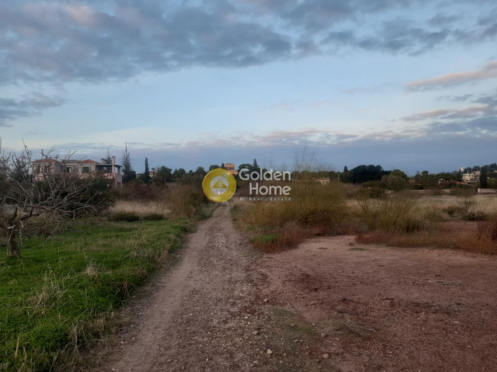 Οικόπεδο 16.325 τ.μ. προς πώληση, Παγώνι