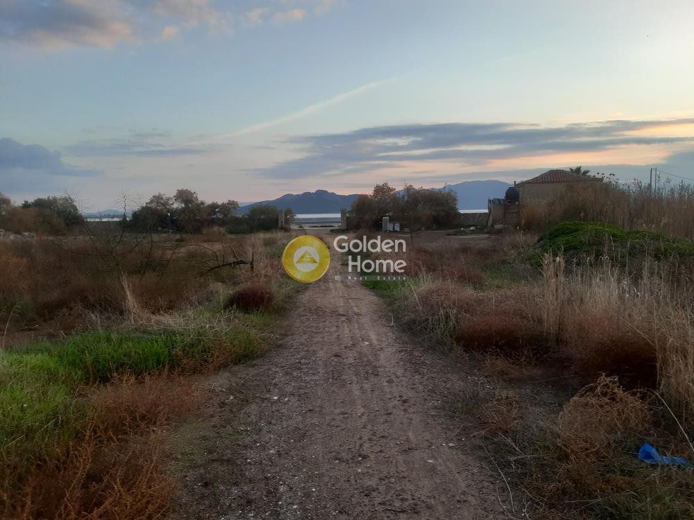 Οικόπεδο 16.325 τ.μ. προς πώληση, Παγώνι