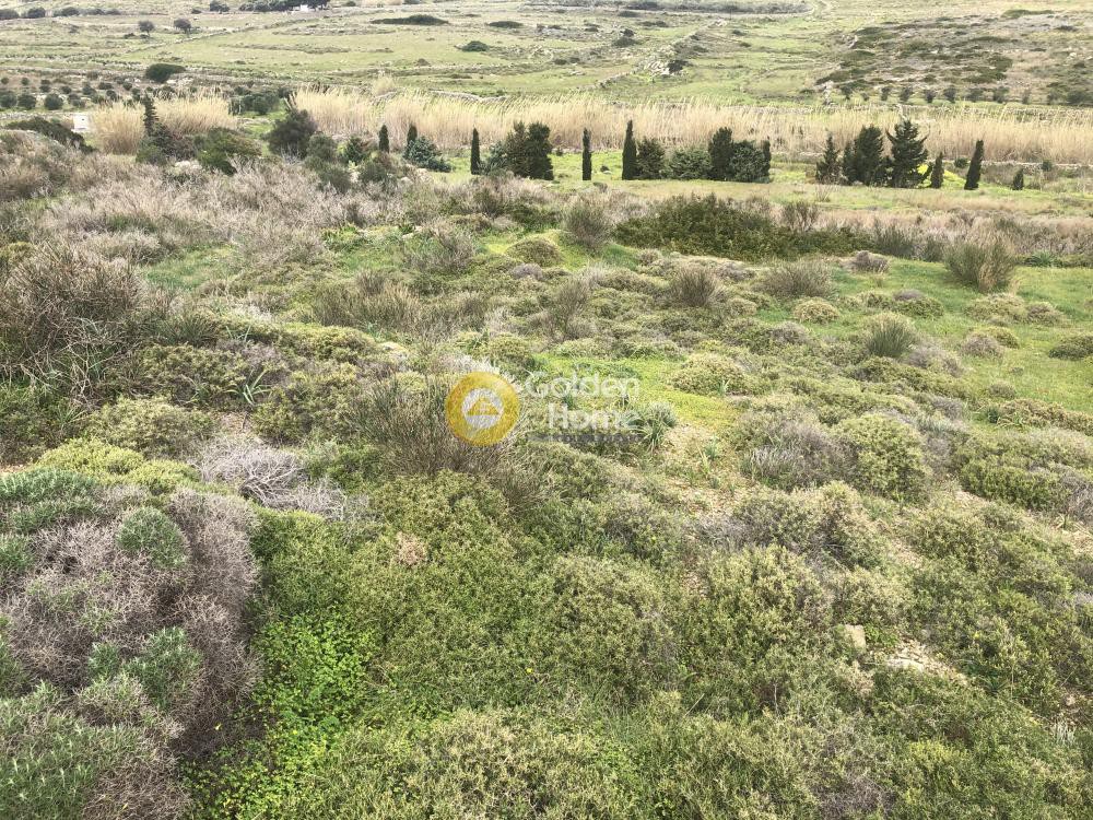 Αγροτεμάχια 5.700 τ.μ. προς πώληση, Άγιος Χαράλαμπος Πάρου