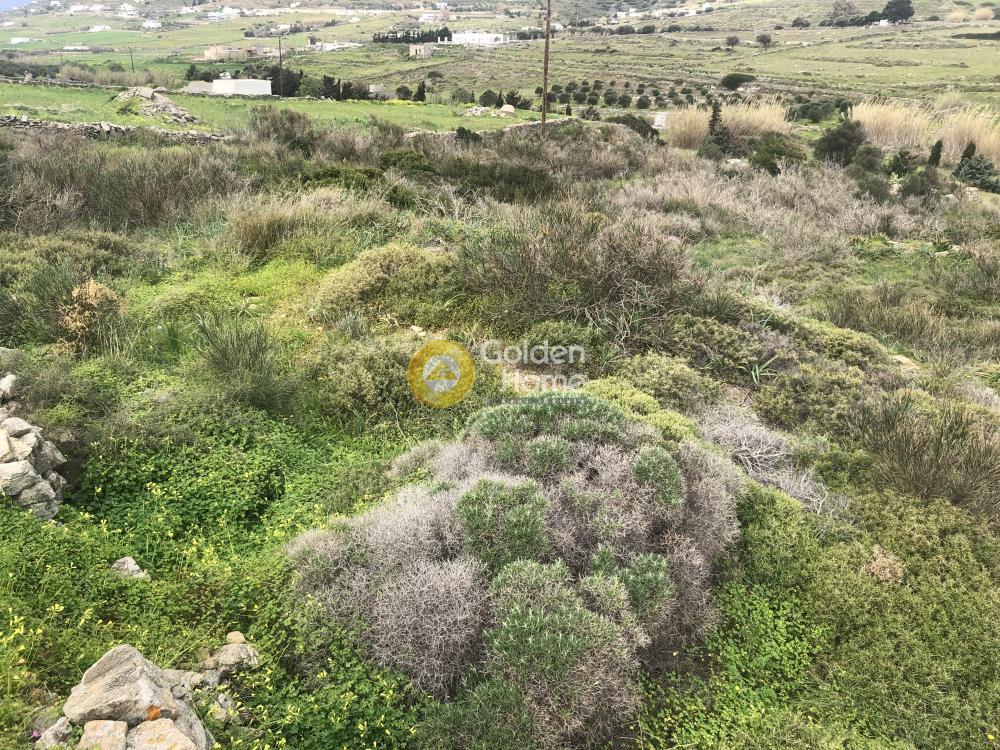 Αγροτεμάχια 5.700 τ.μ. προς πώληση, Άγιος Χαράλαμπος Πάρου