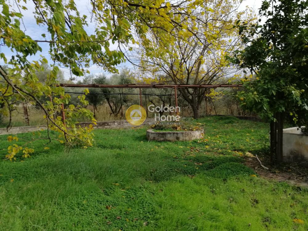 Αγροτεμάχια 9.000 τ.μ. προς πώληση, Αγία Μαρίνα Παιανίας