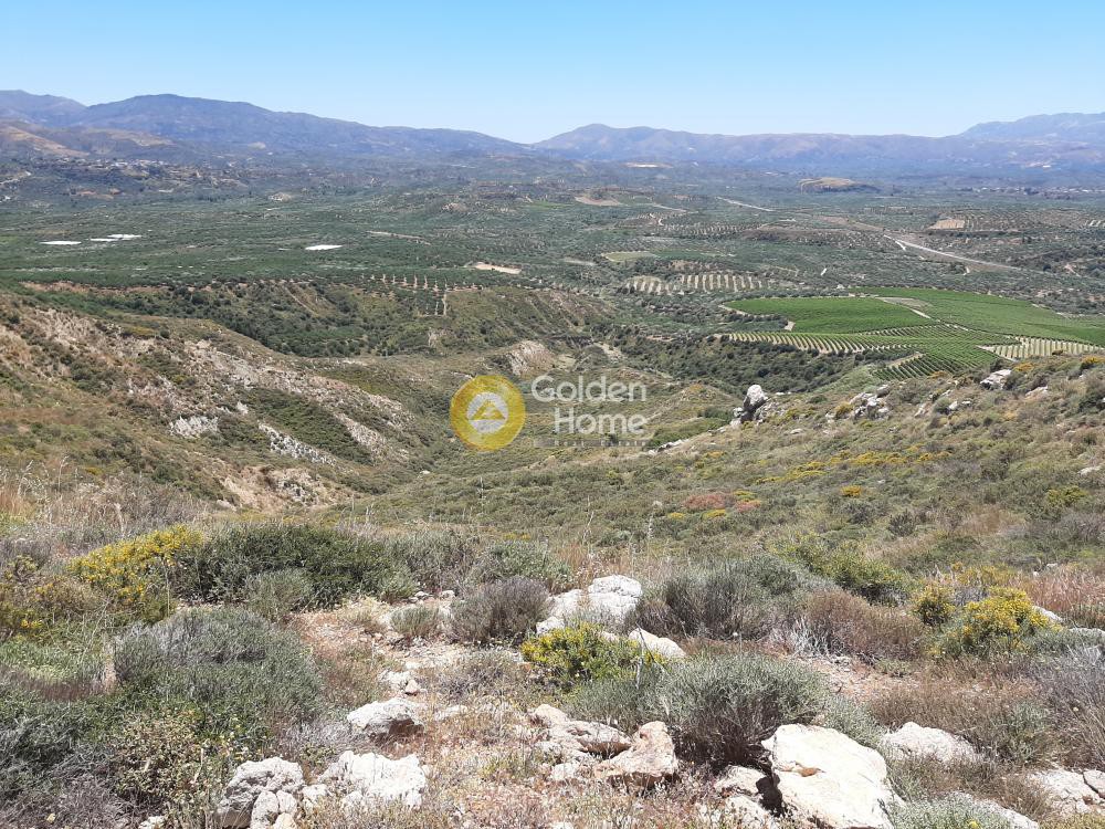 Αγροτεμάχια 15.000 τ.μ. προς πώληση, Αυλή Αρκαλοχωρίου