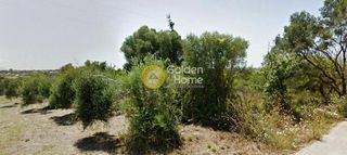 Αγροτεμάχια 4.008 τ.μ. για πώληση, Ν. Πρέβεζας, Πρέβεζα-thumb-1