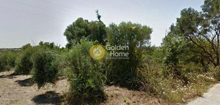 Αγροτεμάχια 4.008 τ.μ. για πώληση, Ν. Πρέβεζας, Πρέβεζα-thumb-3