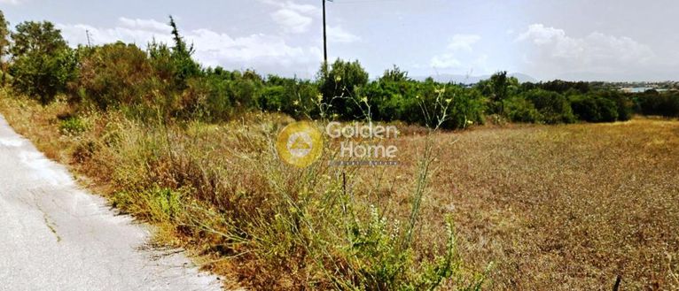 Αγροτεμάχια 4.008 τ.μ. για πώληση, Ν. Πρέβεζας, Πρέβεζα