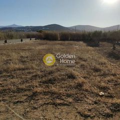 Αγροτεμάχια 4.800 τ.μ. για πώληση