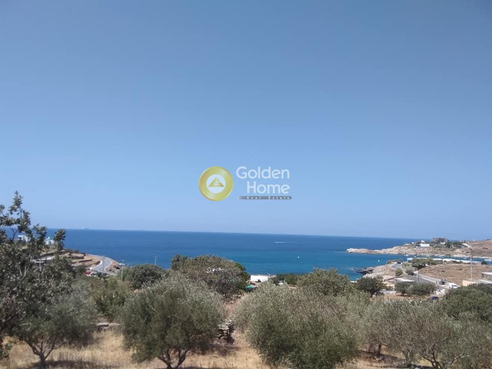 Οικόπεδο 4.160 τ.μ. προς πώληση, Λυγιά Κέας