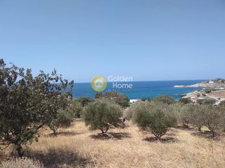 Οικόπεδο 4.160 τ.μ. για πώληση, Κυκλάδες, Κέα-thumb-7