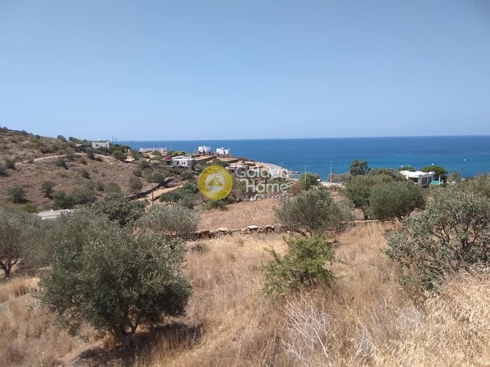 Οικόπεδο 4.160 τ.μ. προς πώληση, Λυγιά Κέας