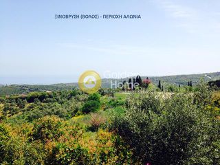 Οικόπεδο 1.000 τ.μ. για πώληση