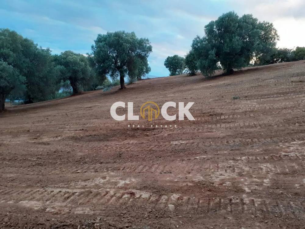 Αγροτεμάχια 10.148 τ.μ. προς πώληση, Λουτρά Παλλήνης