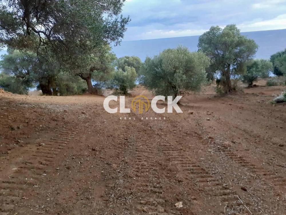 Αγροτεμάχια 10.148 τ.μ. προς πώληση, Λουτρά Παλλήνης