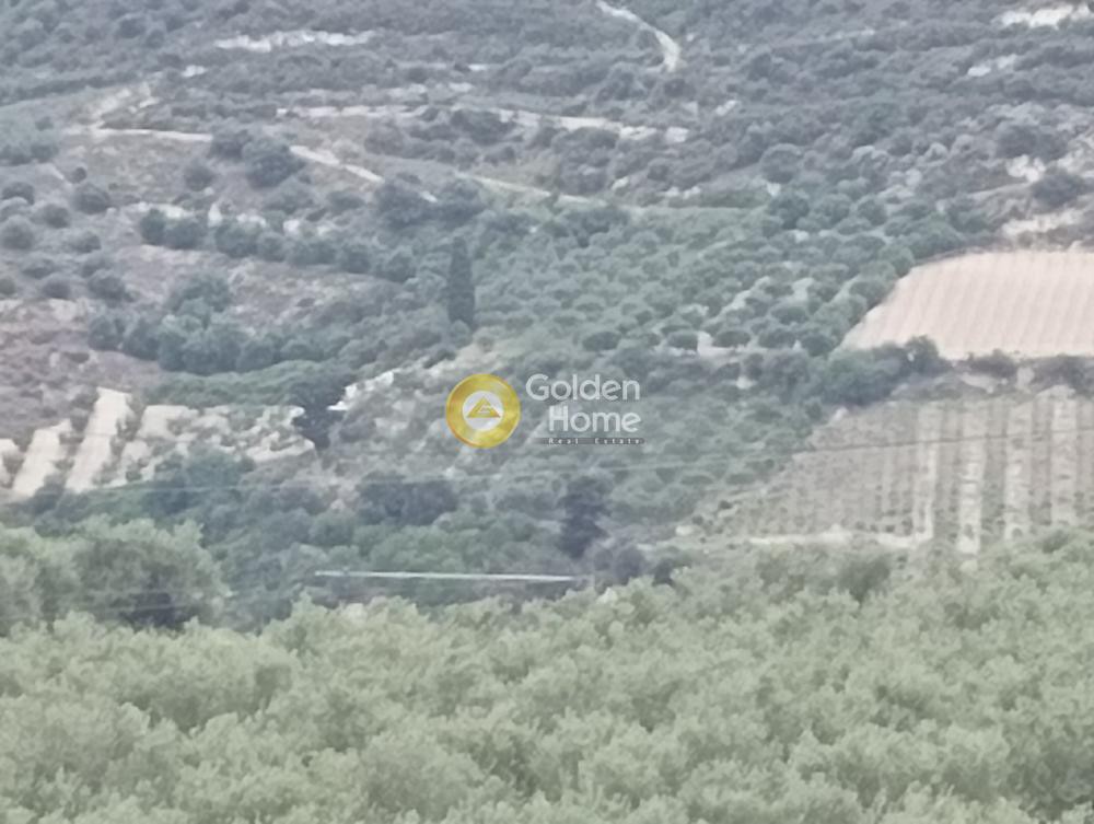 Αγροτεμάχια 1.900 τ.μ. προς πώληση, Δαφνές Ηρακλείου