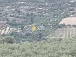 Αγροτεμάχια 1.900 τ.μ. για πώληση