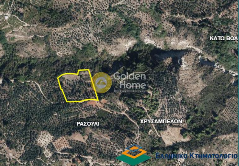 Αγροτεμάχια 10.500 τ.μ. προς πώληση, Χρυσάνθι