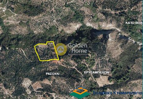 Αγροτεμάχια 10.500τ.μ. για πώληση-Αιγείρα » Χρυσάνθι