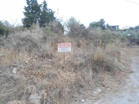 Οικόπεδο 550τ.μ. για πώληση-Βόλος » Νέες παγάσες