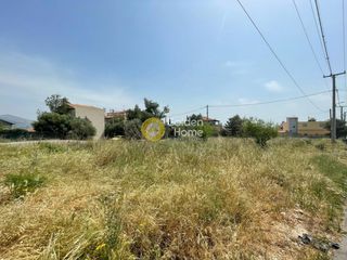 Αγροτεμάχια 253 τ.μ. για πώληση