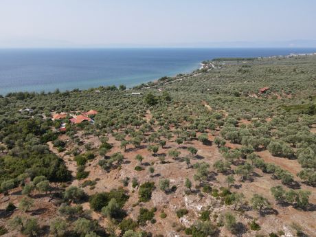Αγροτεμάχια 2.100τ.μ. για πώληση-Θάσος » Σκάλα καλλιράχης