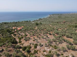 Αγροτεμάχια 2.100 τ.μ. για πώληση