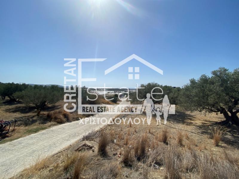 Αγροτεμάχια 4.445 τ.μ. προς πώληση, Κεντρί