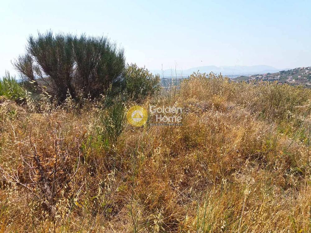 Οικόπεδο 916 τ.μ. προς πώληση, Κέντρο Πεντέλης