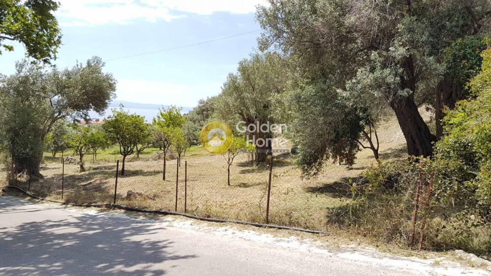 Οικόπεδο 1.000 τ.μ. προς πώληση, Ήλια Αιδηψού