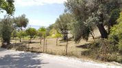 Οικόπεδο 1.000τ.μ. για πώληση-Αιδηψός » Ν. ηλείας