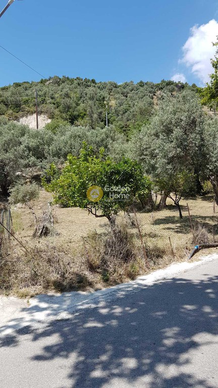 Οικόπεδο 1.000 τ.μ. προς πώληση, Ήλια Αιδηψού