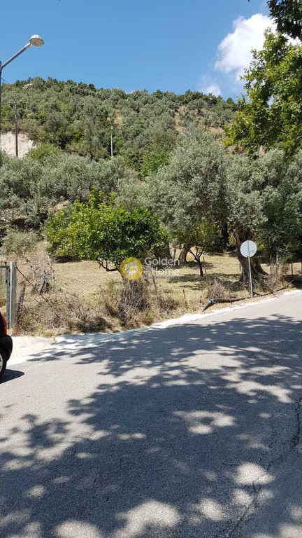 Οικόπεδο 1.000 τ.μ. προς πώληση, Ήλια Αιδηψού